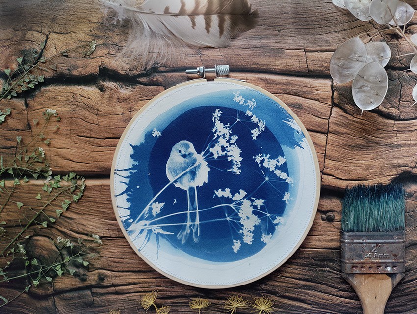 Botanische cyanotype print 'Bluebird' 3 - 147448 Botanische cyanotype print 'Bluebird' 3