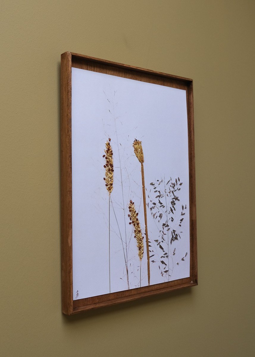 Bloemen Borduurwerk - Geel grassen uit Zuid Africa - 51343.jpeg Bloemen Borduurwerk - Geel grassen uit Zuid Africa