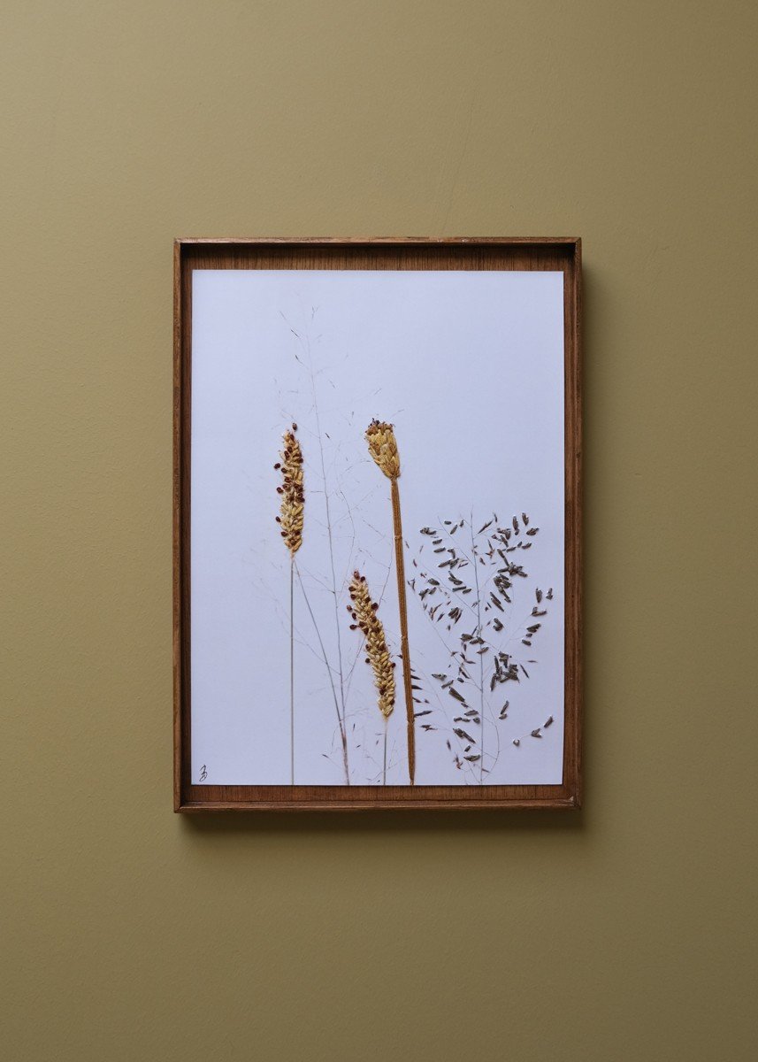 Bloemen Borduurwerk - Geel grassen uit Zuid Africa - 51344.jpeg Bloemen Borduurwerk - Geel grassen uit Zuid Africa