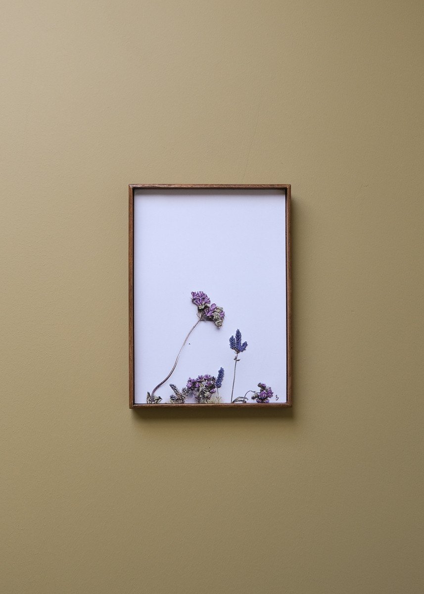 Bloemen Borduurwerk - Paarse bloemen uit Zuid-Afrika - 51327.jpeg Bloemen Borduurwerk - Paarse bloemen uit Zuid-Afrika