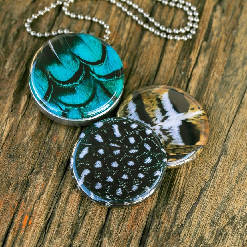 Stalen Fotomedaillon ketting met 3 verschillende verwisselbare voorkanten met close up foto`s van veren /veertjes in prachtige tinten. Voor het dicht bij je dragen van je favoriete foto.