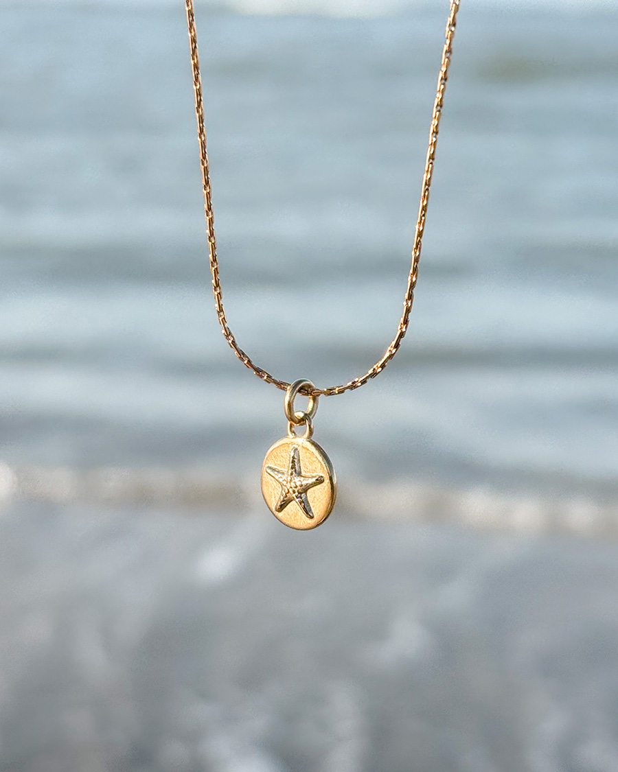 Oceaan Zeester & Schildpad Ketting Goud