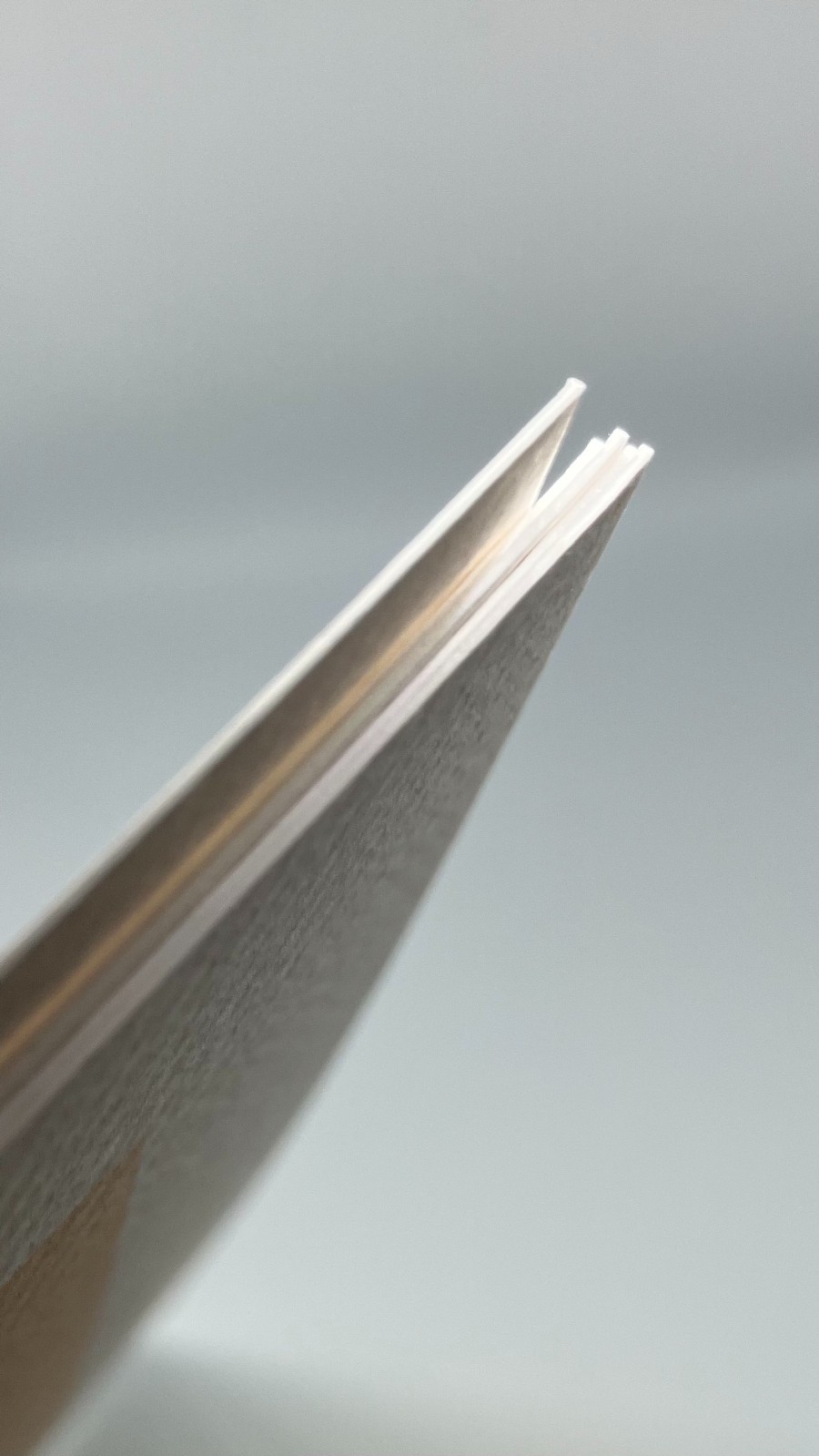 Pastel madeliefjes kunstprint – zachte bloemenillustratie | A4 poster 21x30 cm