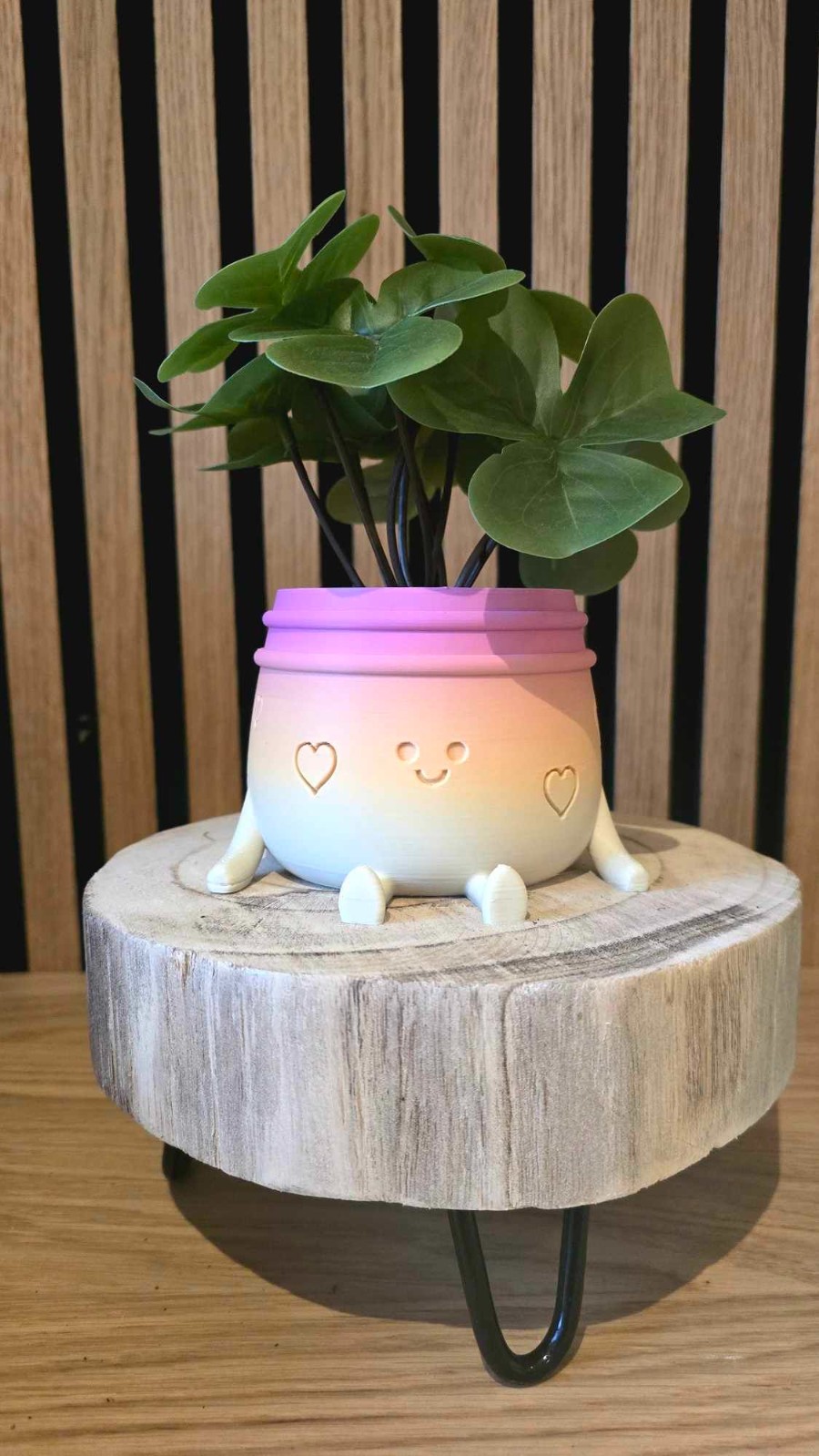 Planti Potti – vrolijk 3D-geprint bloempotje met gezichtje
