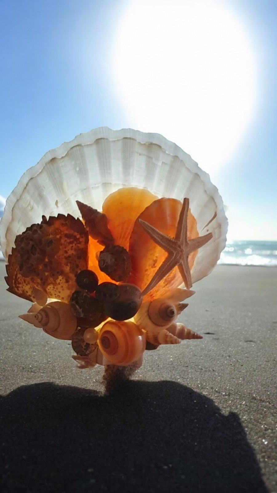 Nachtlampje op Scallope schelp - 48878.jpeg Nachtlampje op Scallope schelp