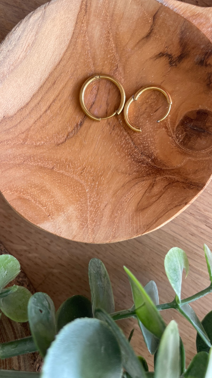 Oorbellen dolfijn - 69211.jpeg Oorbellen dolfijn