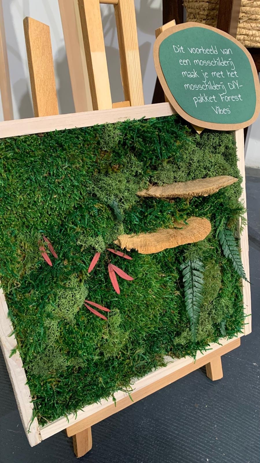 mosschilderij DIY-pakket 'Forest Vibes'