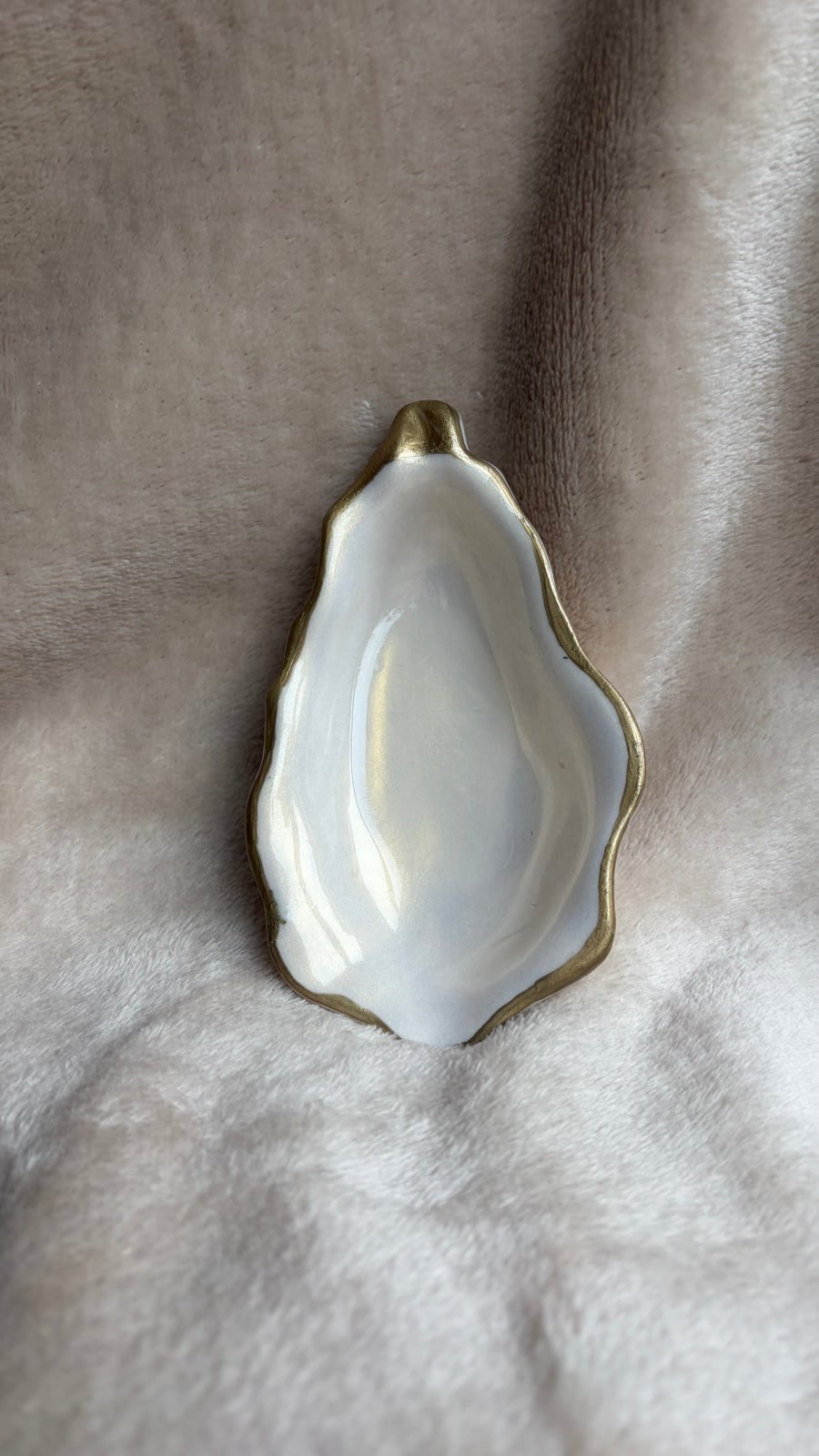 Oester schaaltje - 155355 Oester schaaltje