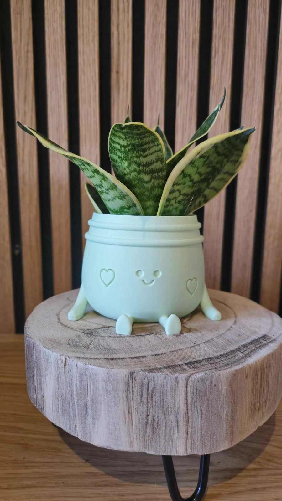 Planti Potti – vrolijk 3D-geprint bloempotje met gezichtje